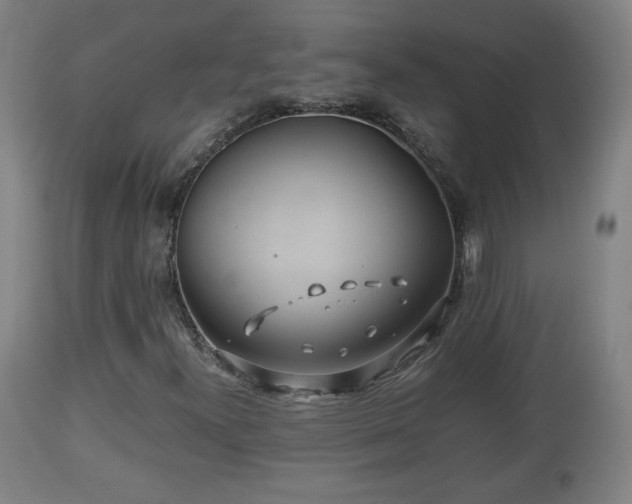 X0000110931300200906251324