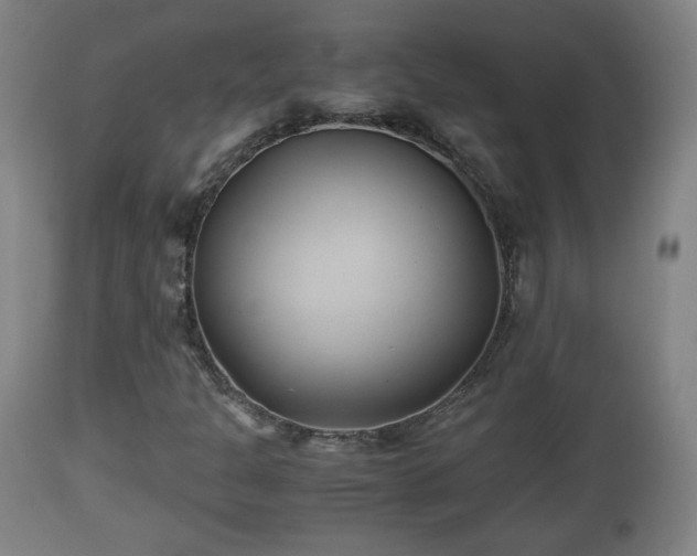 X0000110931301200906251324