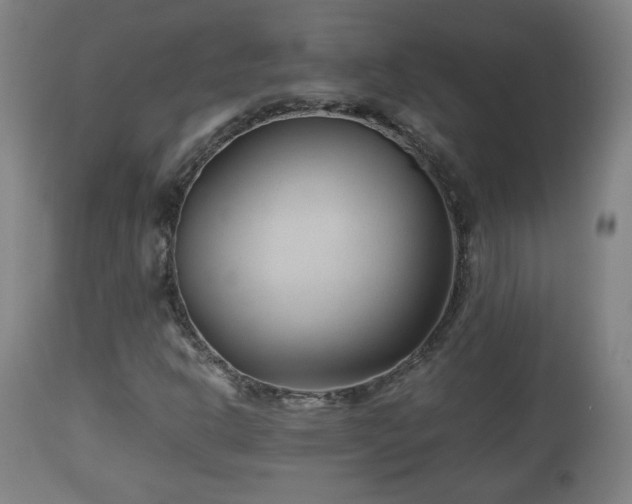 X0000110931302200906251324