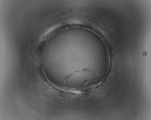 X0000110931303200906251324