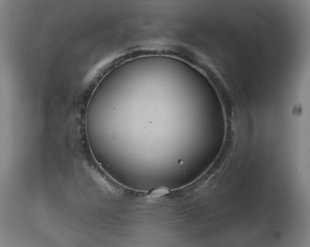 X0000110931304200906251324