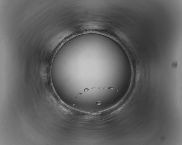 X0000110931305200906251324