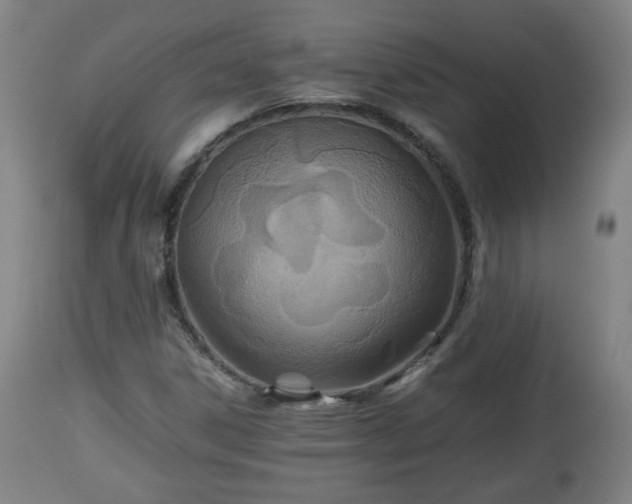 X0000110931306200906251324