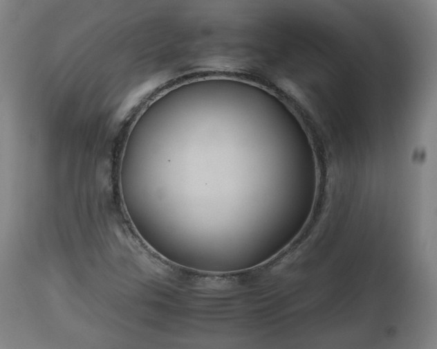 X0000110931307200906251324