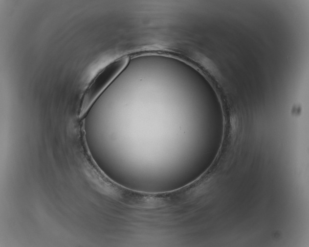X0000110931308200906251324