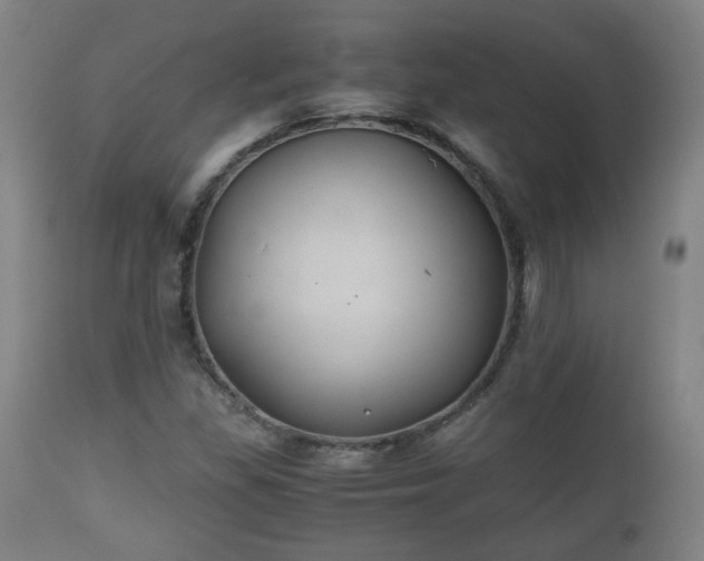 X0000110931309200906251324