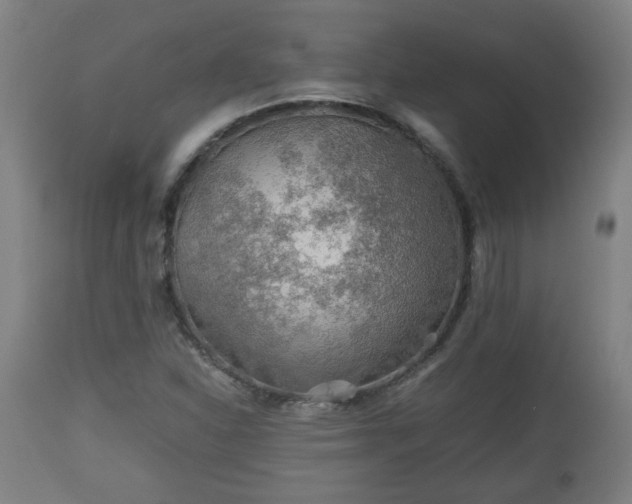 X0000110931310200906251324