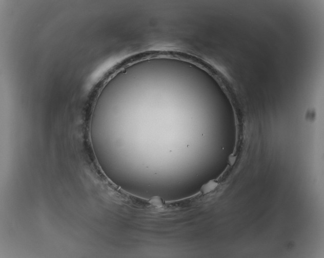 X0000110931311200906251324