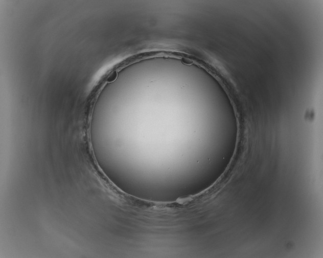 X0000110931312200906251324
