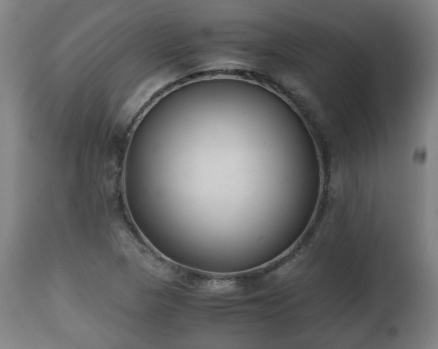 X0000110931313200906251324