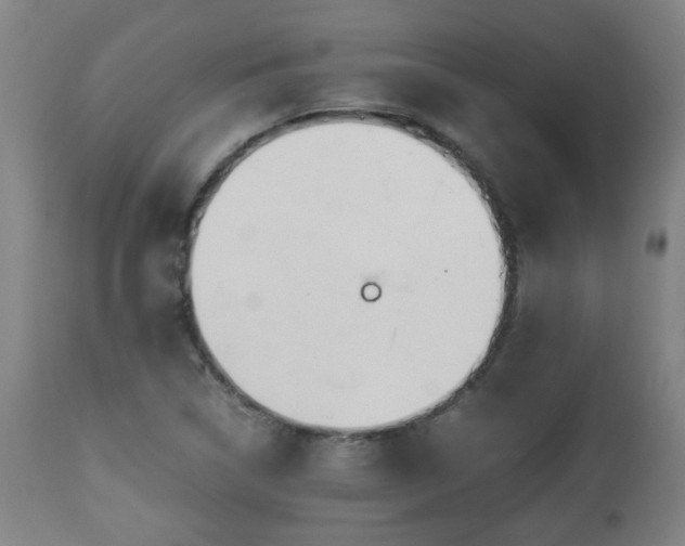 X0000110931314200906251324