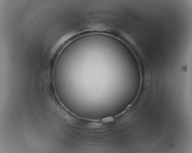 X0000110931315200906251324