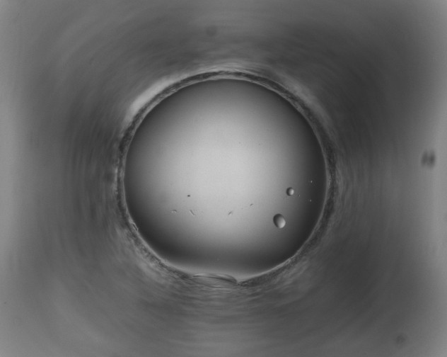 X0000110931316200906251324