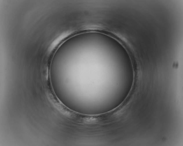 X0000110931317200906251324