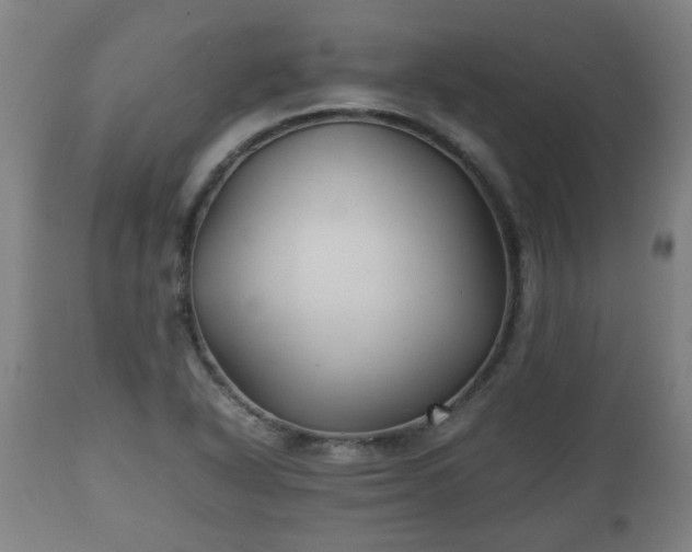 X0000110931318200906251324