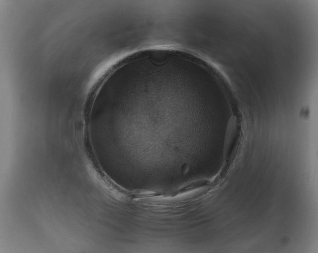 X0000110931319200906251324