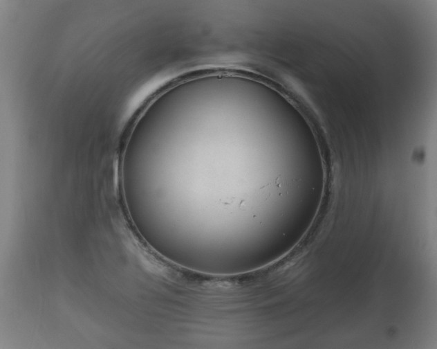 X0000110931320200906251324