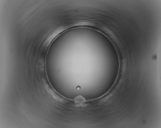 X0000110931321200906251324