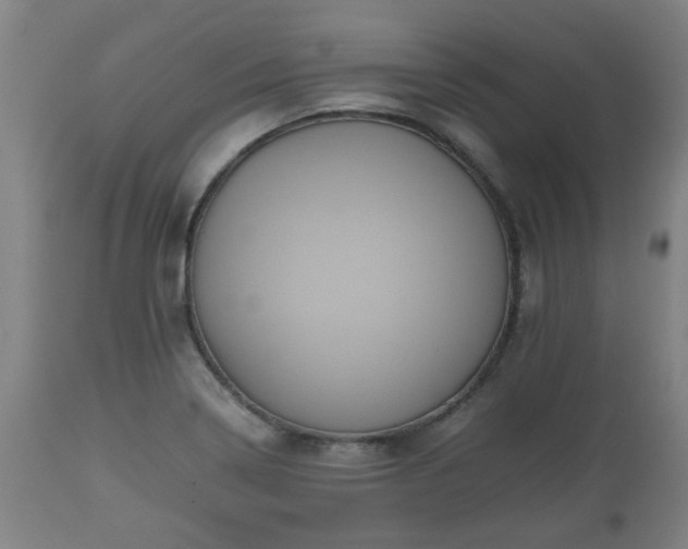 X0000110931322200906251324