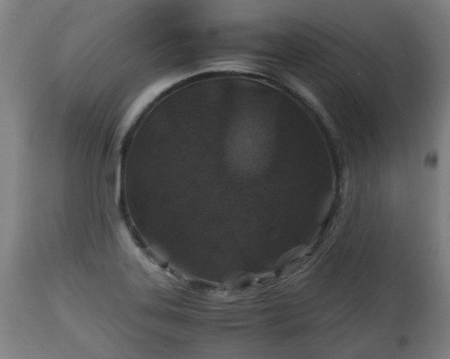 X0000110931323200906251324