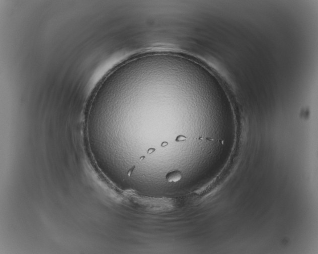 X0000110931325200906251324