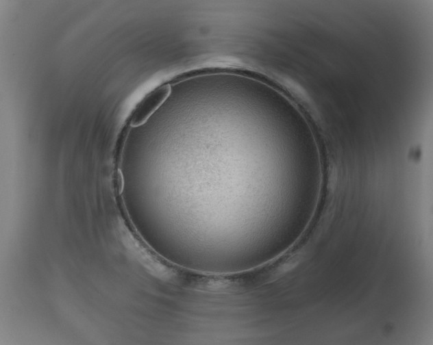 X0000110931326200906251324