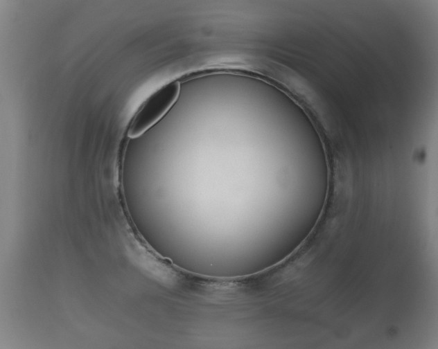X0000110931328200906251324