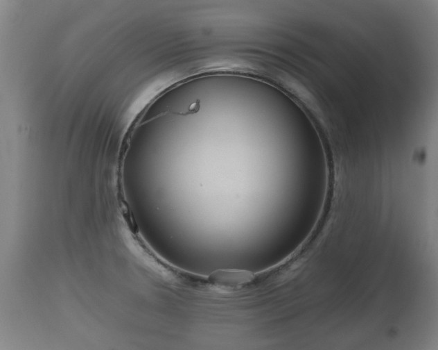 X0000110931330200906251324