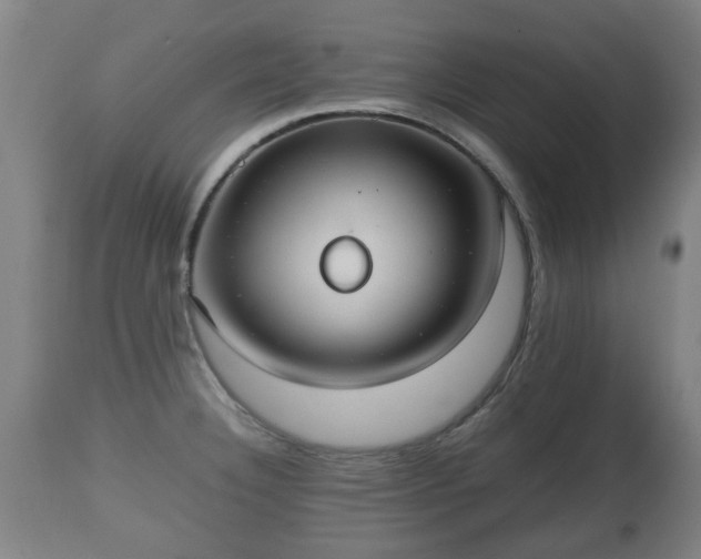 X0000110931332200906251324