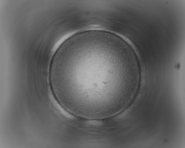 X0000110931333200906251324