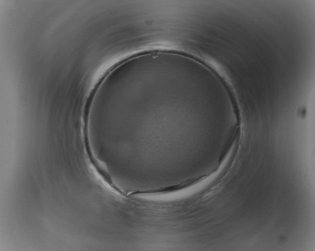 X0000110931334200906251324