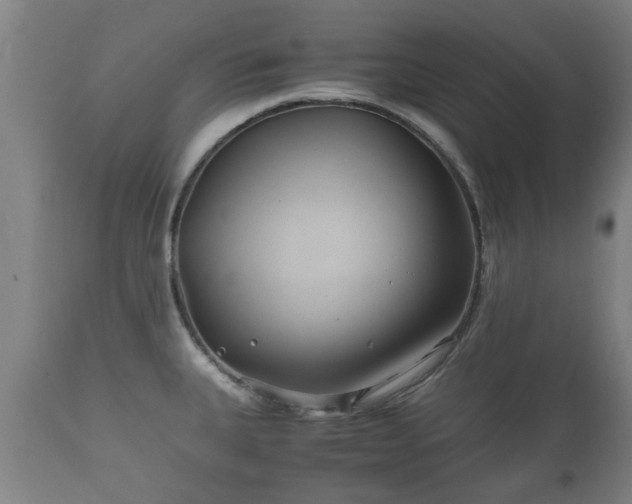 X0000110931335200906251324