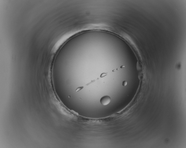 X0000110931336200906251324