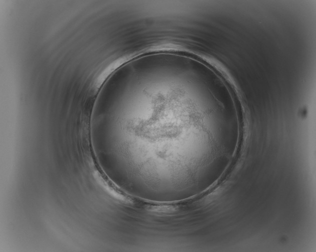 X0000110931337200906251324