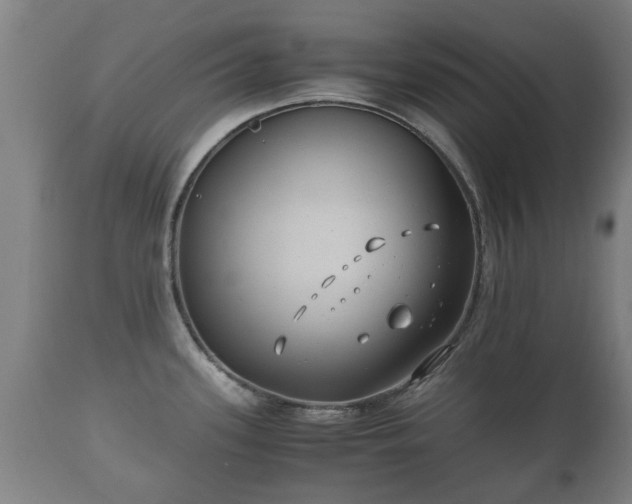X0000110931339200906251324