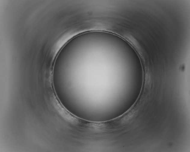X0000110931340200906251324