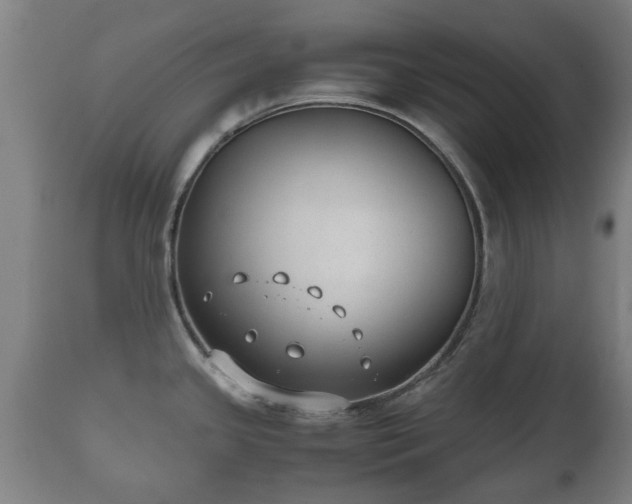X0000110931341200906251324