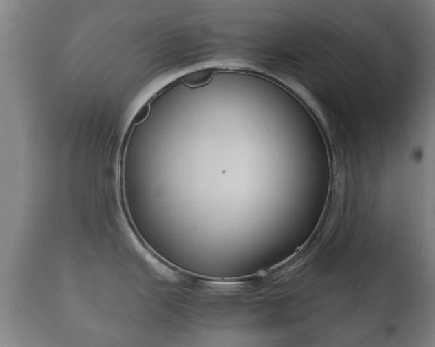 X0000110931343200906251324