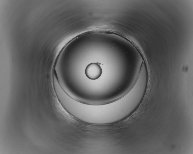 X0000110931344200906251324