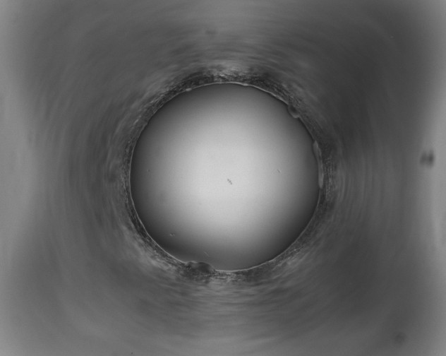 X0000110931345200906251324