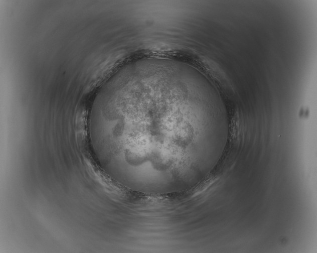 X0000110931346200906251324
