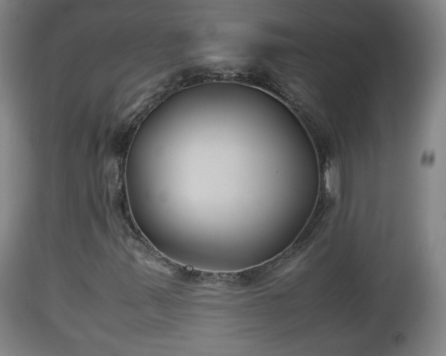 X0000110931347200906251324