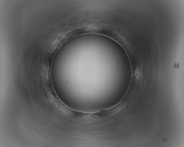 X0000110931348200906251324