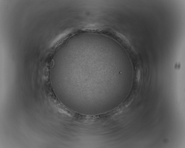 X0000110931350200906251323