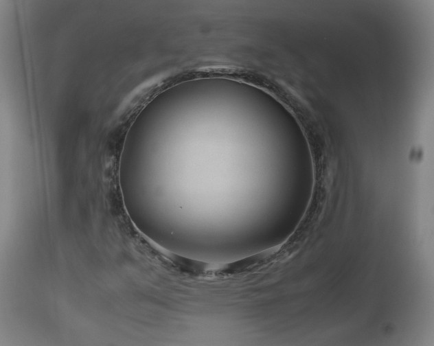X0000110931351200906251323