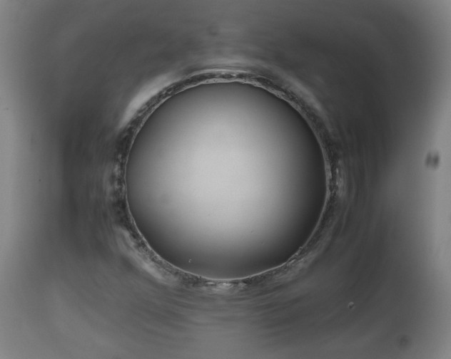 X0000110931352200906251323