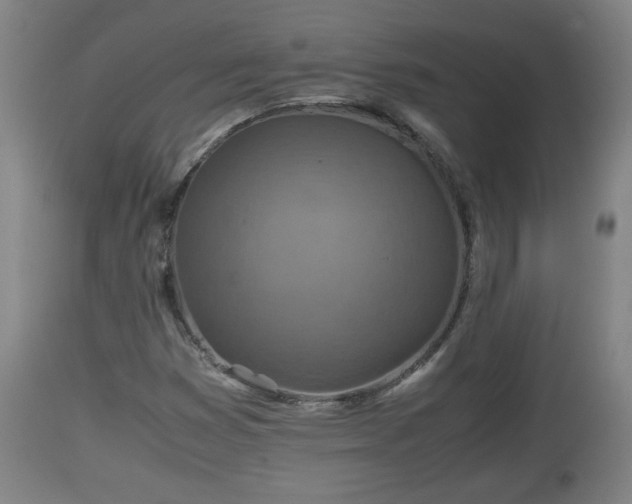 X0000110931353200906251323