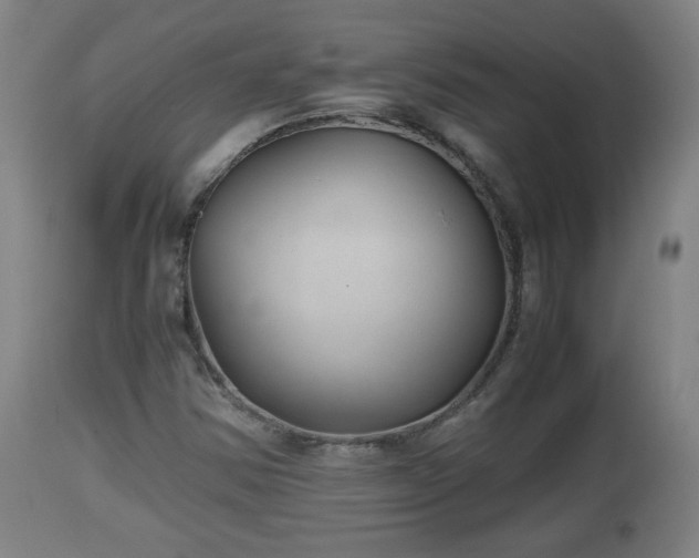 X0000110931354200906251323
