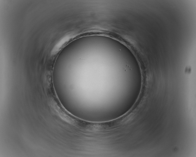 X0000110931355200906251323