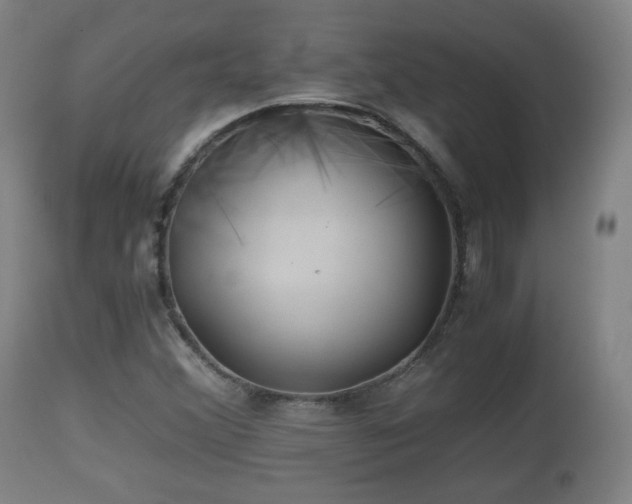X0000110931356200906251323